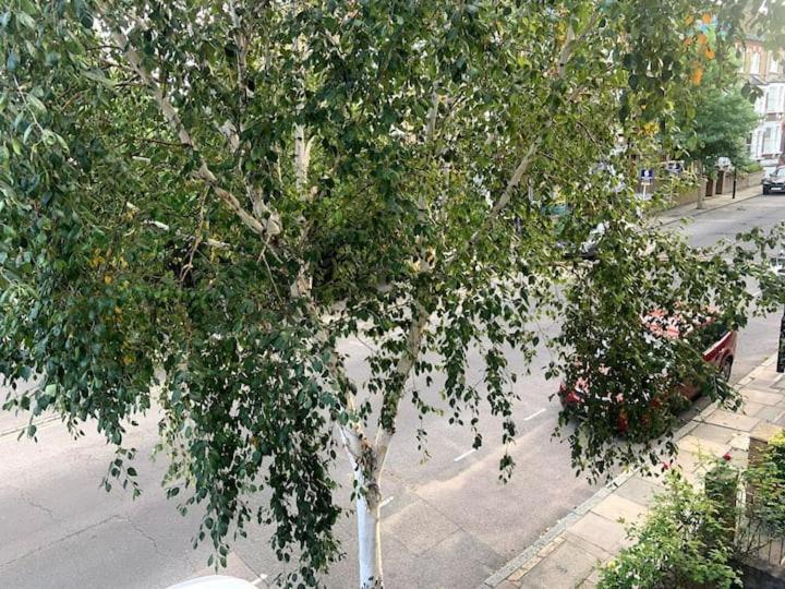 Lovely Spacious 1-Bedroom Flat In Tufnell Park Close To Central London Kültér fotó